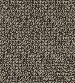 Pokot Fabric by Clarke & Clarke Noir