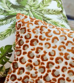 Pokot Fabric by Clarke & Clarke Spice