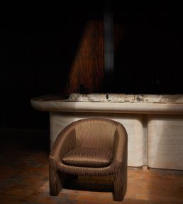 Polanco Fabric by Zinc Mole