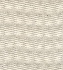 Pollux Fabric by Thibaut Flax