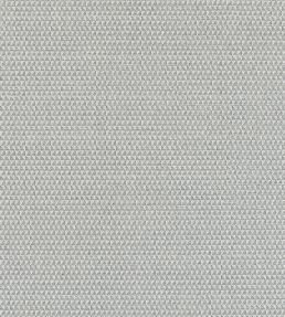 Pollux Fabric by Thibaut Sterling