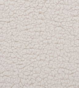 Polwarth Fabric by Designers Guild Chalk