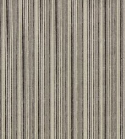 Ponto Fabric by Clarke & Clarke Charcoal