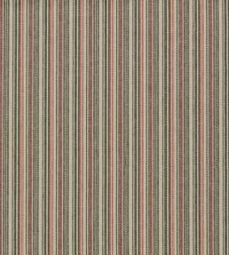 Ponto Fabric by Clarke & Clarke Spice/Sage