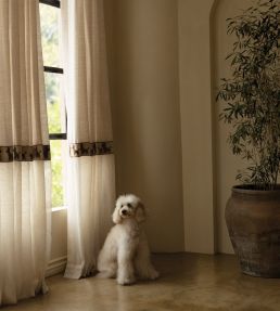 Poodle Boucle Border Trimming by Samuel & Sons Cream