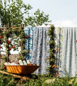 Poppy Pod Fabric by Scion Denim/Chilli
