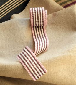 Portrait Stripe Braid Trimming by Ian Mankin Brown/Pink