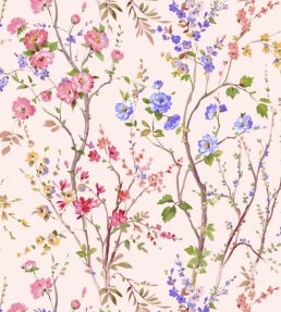 Potpourri Wallpaper by Scalamandre Cameo Rose
