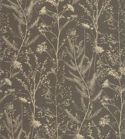 Prairie Wallpaper by Casadeco Noir Fusain / Ocre