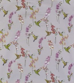 Humming Bird Fabric by Prestigious Textiles Rose Quartz