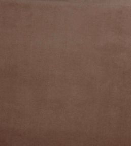 Belgravia Fabric by Prestigious Textiles Taupe