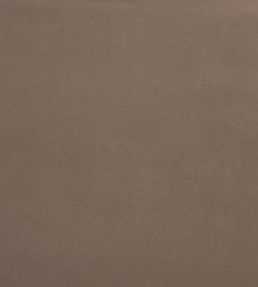 Belgravia Fabric by Prestigious Textiles Camel