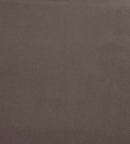 Belgravia Fabric by Prestigious Textiles Mole