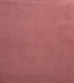 Belgravia Fabric by Prestigious Textiles Blossom