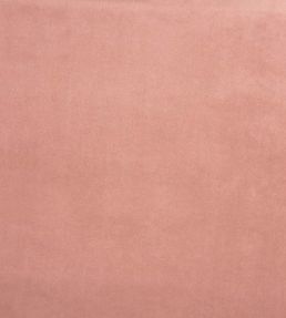 Belgravia Fabric by Prestigious Textiles Petal