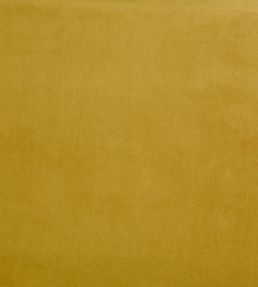 Belgravia Fabric by Prestigious Textiles Zest