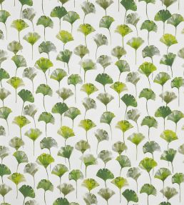 Camarillo Fabric by Prestigious Textiles Cactus
