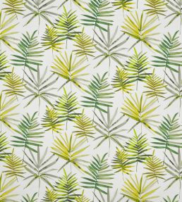 Topanga Fabric by Prestigious Textiles Cactus