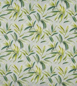Ventura Fabric by Prestigious Textiles Cactus