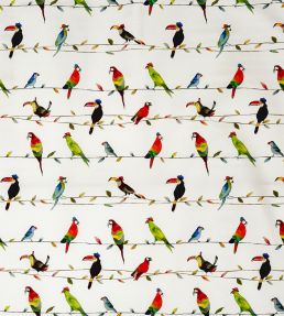 Toucan Talk Fabric by Prestigious Textiles Paintbox
