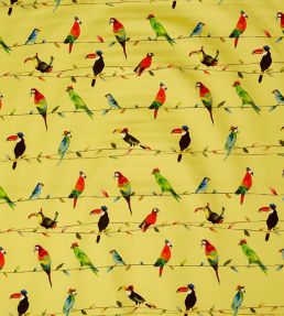 Toucan Talk Fabric by Prestigious Textiles Zest