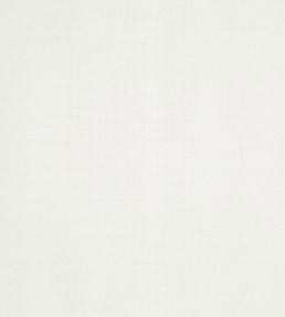 Tussah Fabric by Prestigious Textiles Ivory