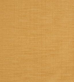 Tussah Fabric by Prestigious Textiles Sienna