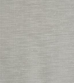 Tussah Fabric by Prestigious Textiles Carbon