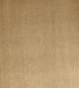 Velour Fabric by Prestigious Textiles Mink