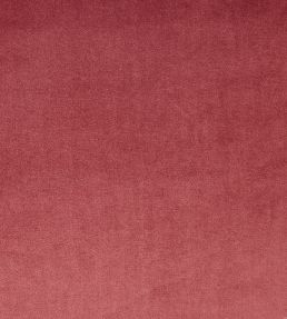 Velour Fabric by Prestigious Textiles Rosebud