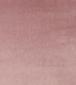 Velour Fabric by Prestigious Textiles Petal