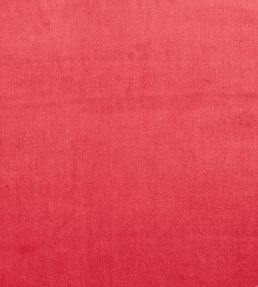 Velour Fabric by Prestigious Textiles Fuchsia