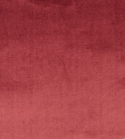 Velour Fabric by Prestigious Textiles Damson