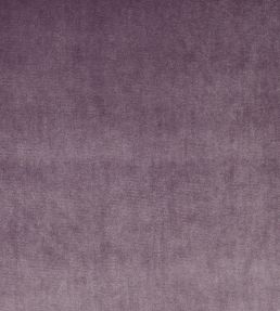 Velour Fabric by Prestigious Textiles Mulberry