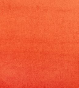 Velour Fabric by Prestigious Textiles Tango
