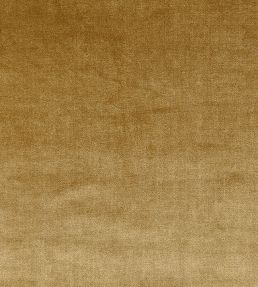 Velour Fabric by Prestigious Textiles Gold