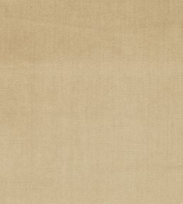 Velour Fabric by Prestigious Textiles Sandstone