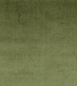 Velour Fabric by Prestigious Textiles Hunter