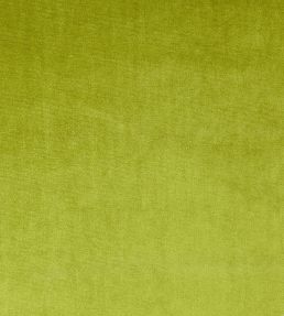 Velour Fabric by Prestigious Textiles Grass