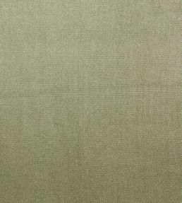 Velour Fabric by Prestigious Textiles Willow