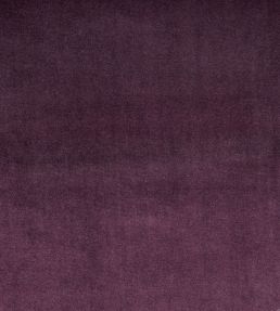 Velour Fabric by Prestigious Textiles Grape