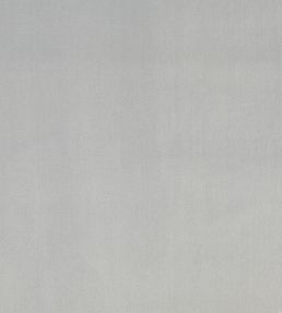 Velour Fabric by Prestigious Textiles Silver