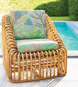 Protea Print Fabric by Thibaut Pool