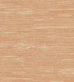 Puff Wallpaper by Andrew Martin Orange