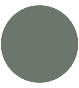 Pullman Green 1829 Chalky Emulsion Paint by Craig & Rose Pullman Green