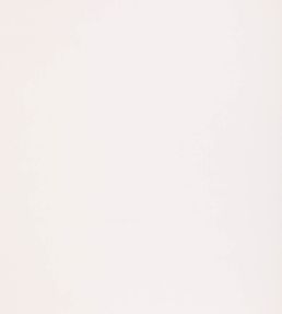 Pumice Fabric by Threads Ivory