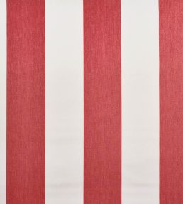 Punch Fabric by Casal Cerise