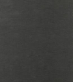 Quintessential Velvet Fabric by Threads Ebony