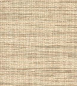 Rafferty Wallpaper by Jane Churchill Terracotta
