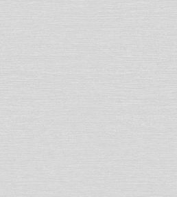 Raffia Wallpaper by 1838 Wallcoverings Mist